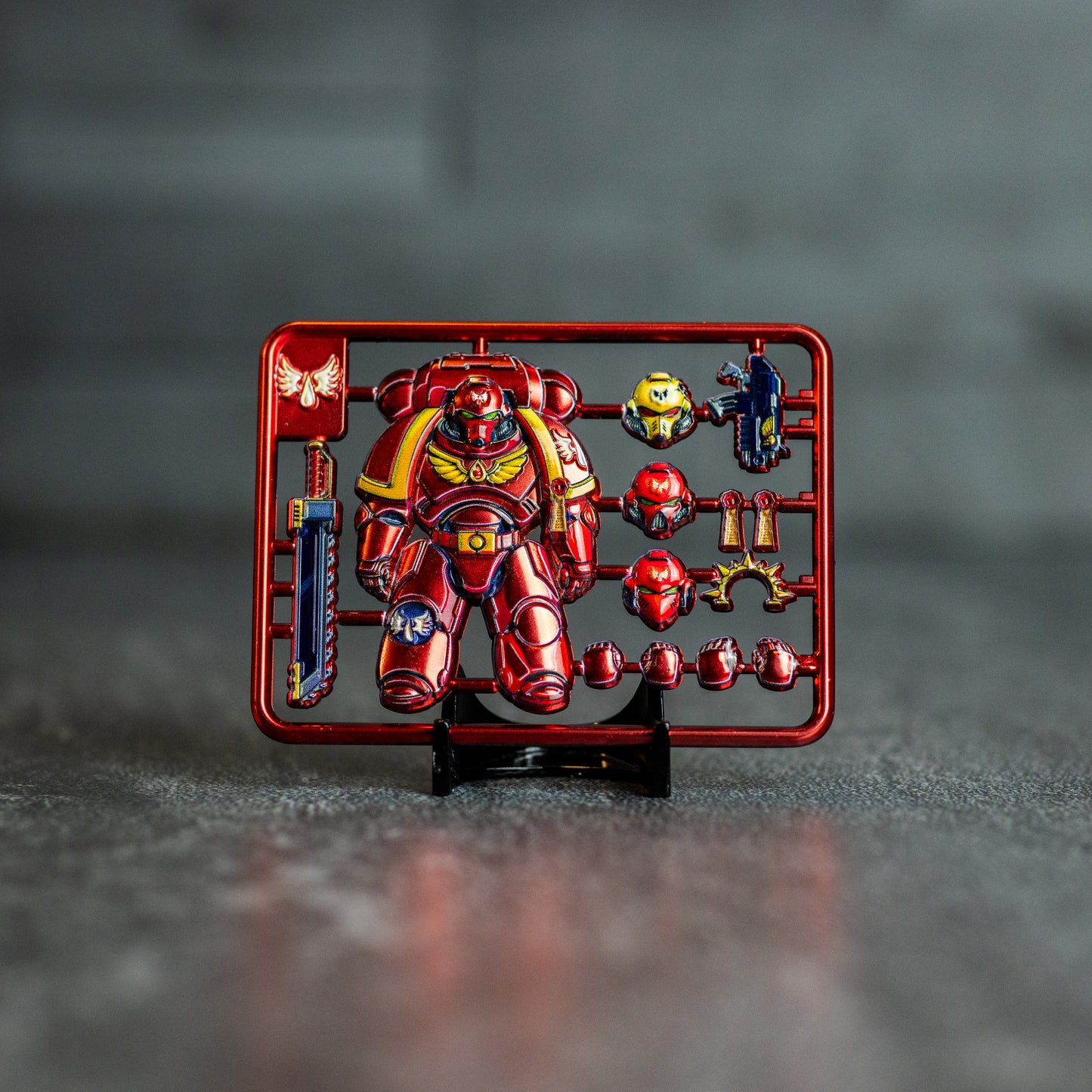 Push-Fit Model Coin