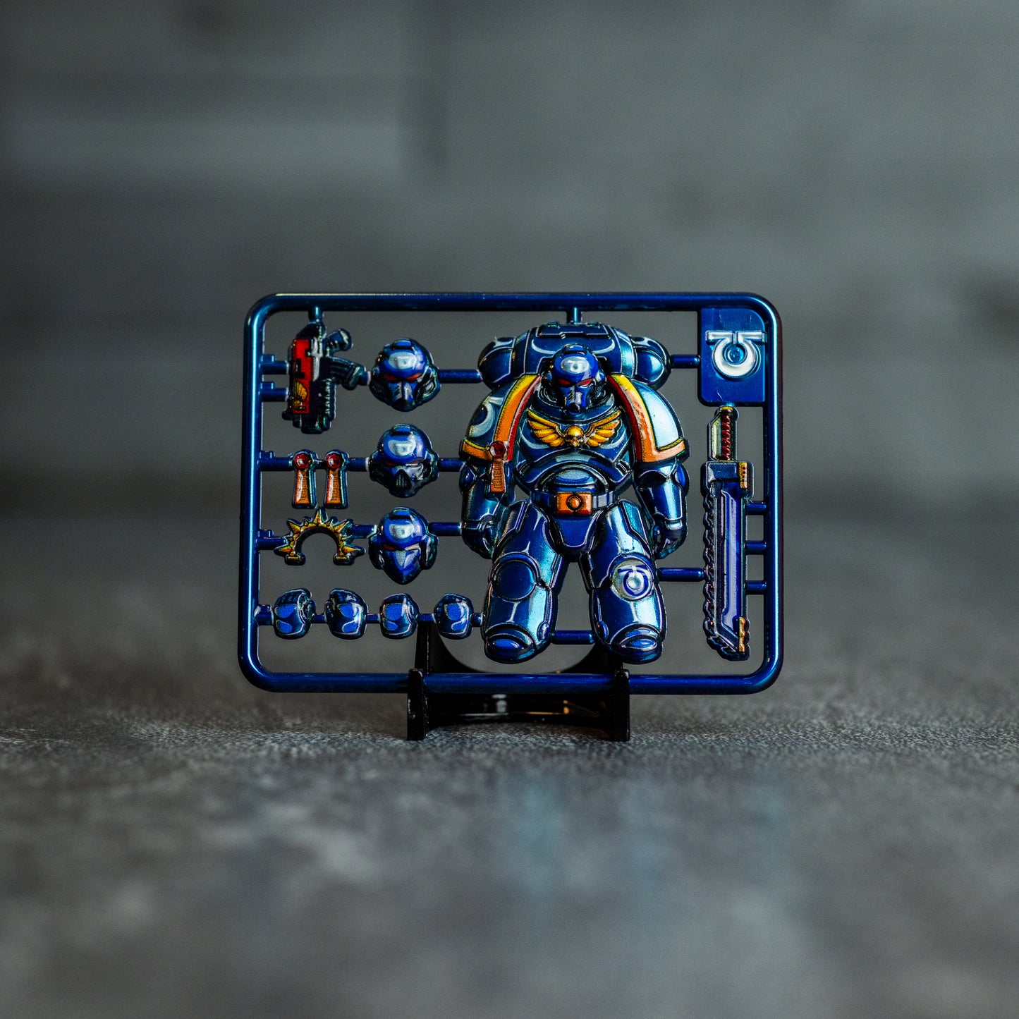 Push-Fit Model Coin